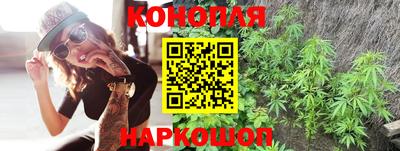 сатива Анапа